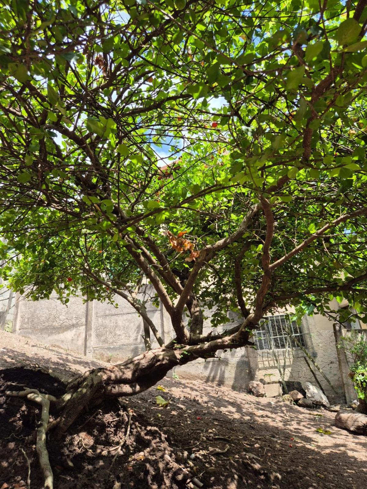 ברומדיניו Pousada Verde Villas מראה חיצוני תמונה
